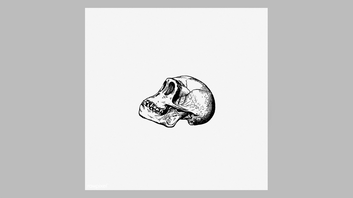 Sapiens - Lược sử loài người: khi con người kể chuyện để hợp tác