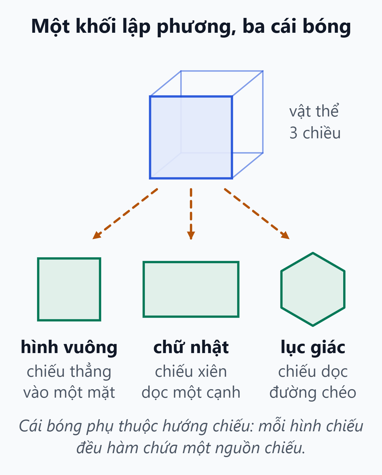 Một khối lập phương cho ba cái bóng khác nhau. Chiếu thẳng vào một mặt cho bóng hình vuông, chiếu xiên dọc một cạnh cho hình chữ nhật, chiếu dọc đường chéo cho hình lục giác.