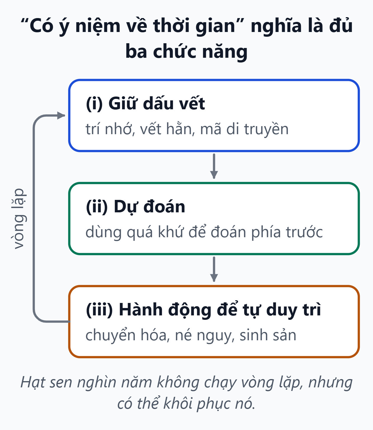 Ba chức năng của ý niệm thời gian. Giữ dấu vết, dự đoán và hành động để tự duy trì khép thành một vòng lặp của thực thể sống.