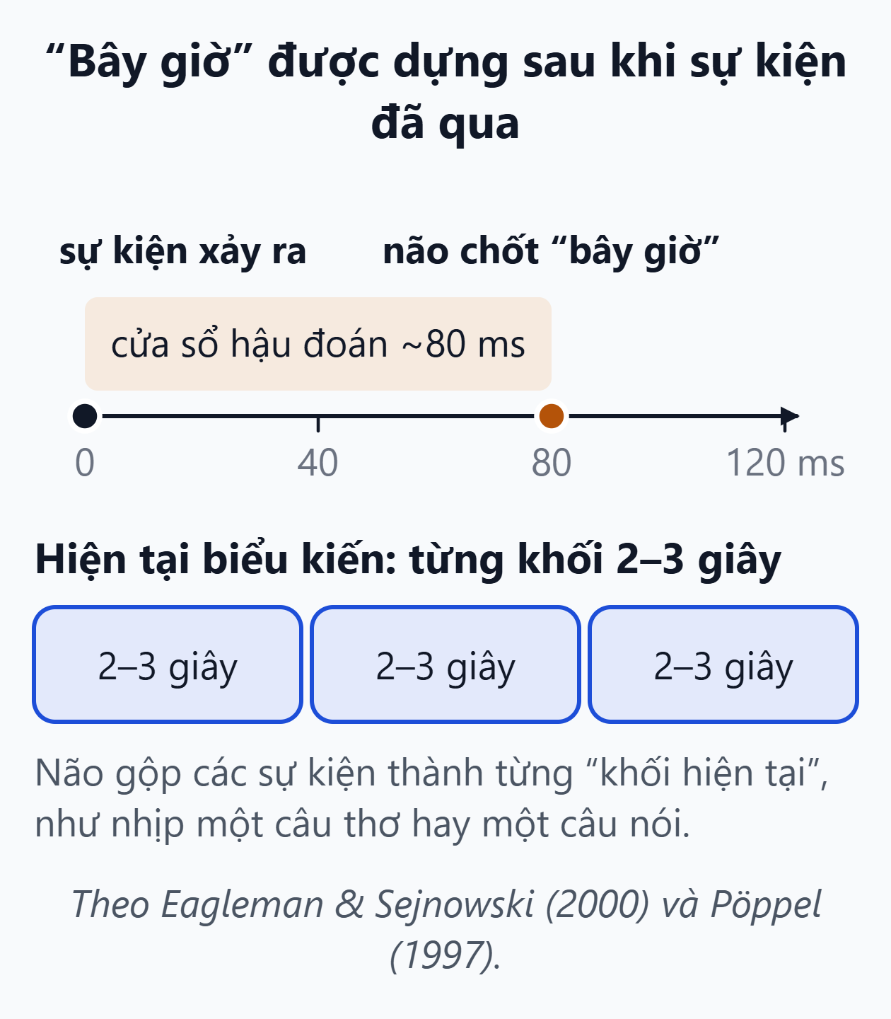 Bộ não dựng hiện tại muộn hơn sự kiện. Trục thời gian mili giây: sự kiện ở 0, cửa sổ hậu đoán kéo dài khoảng 80 mili giây rồi não mới chốt cái bây giờ; hiện tại biểu kiến dài 2 đến 3 giây.