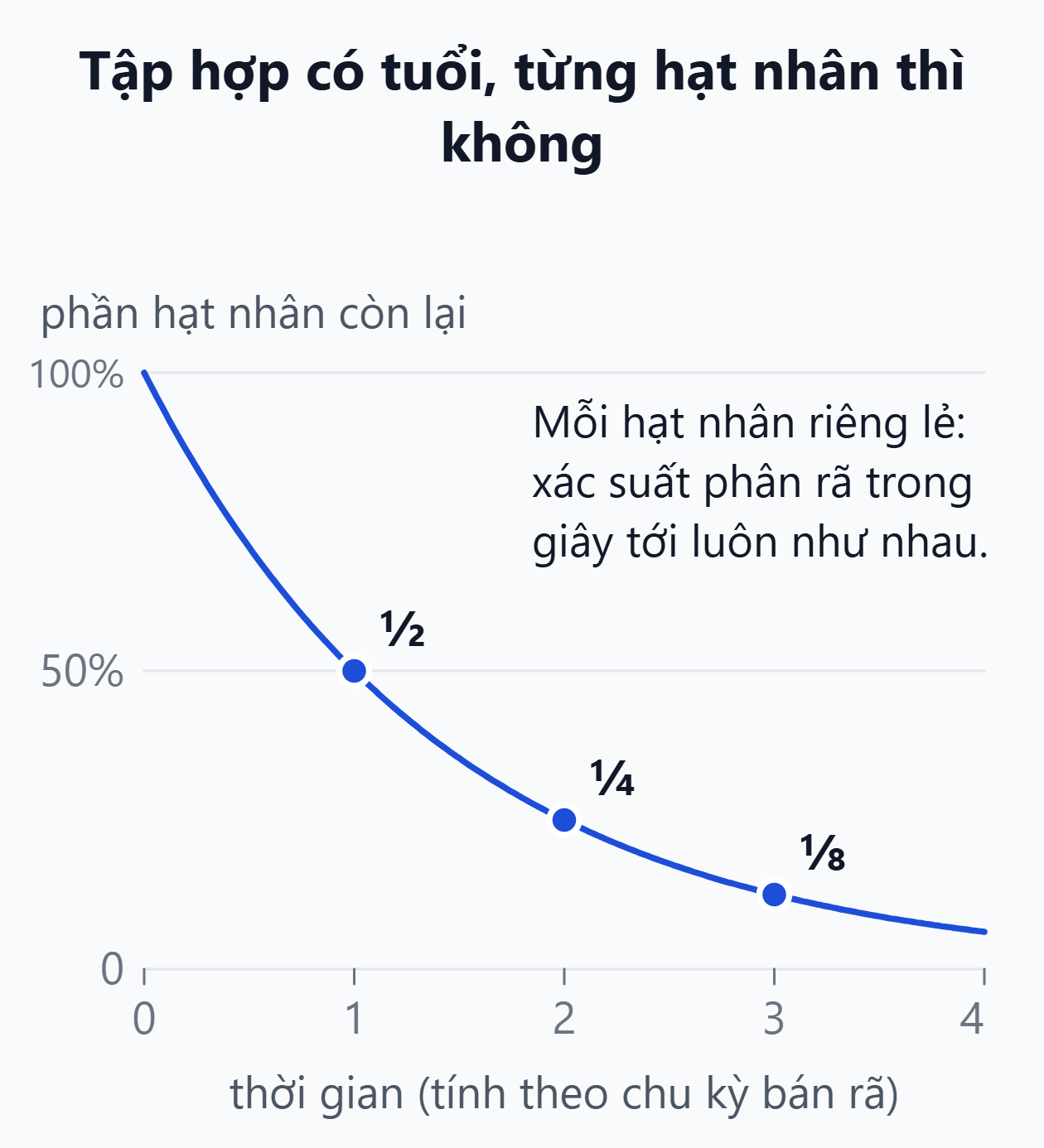 Đường cong phân rã phóng xạ. Số hạt nhân còn lại giảm một nửa sau mỗi chu kỳ bán rã, nhưng xác suất phân rã của từng hạt nhân không đổi theo tuổi.